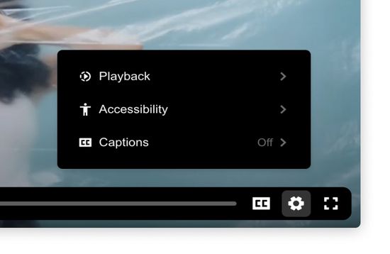 our player hast all core accessibility features you need
