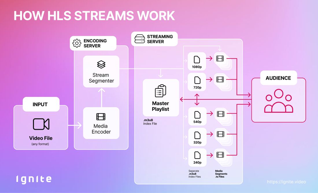 How HLS Streams work. From the input video, to encoding process (.m3u8 + .ts files) and the streaming server. 