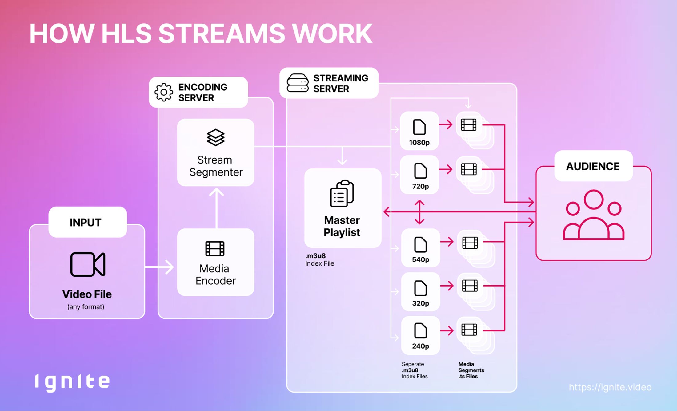 How HLS Streams work. From the input video, to encoding process (.m3u8 + .ts files) and the streaming server.