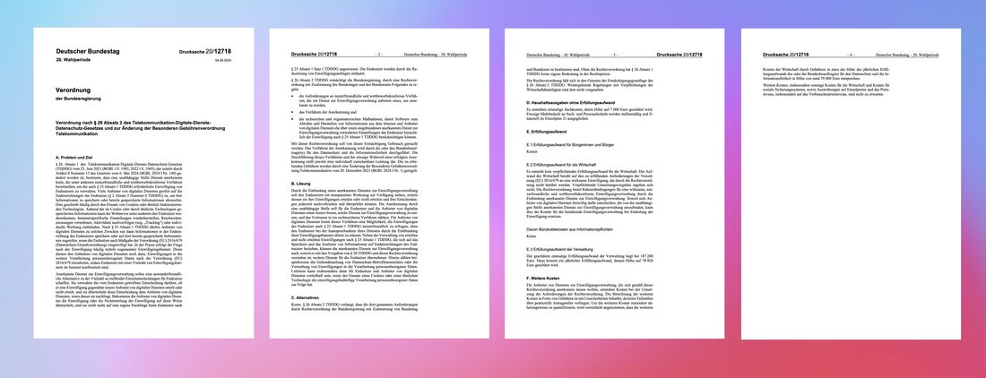 Screenshot Verordnung PDF