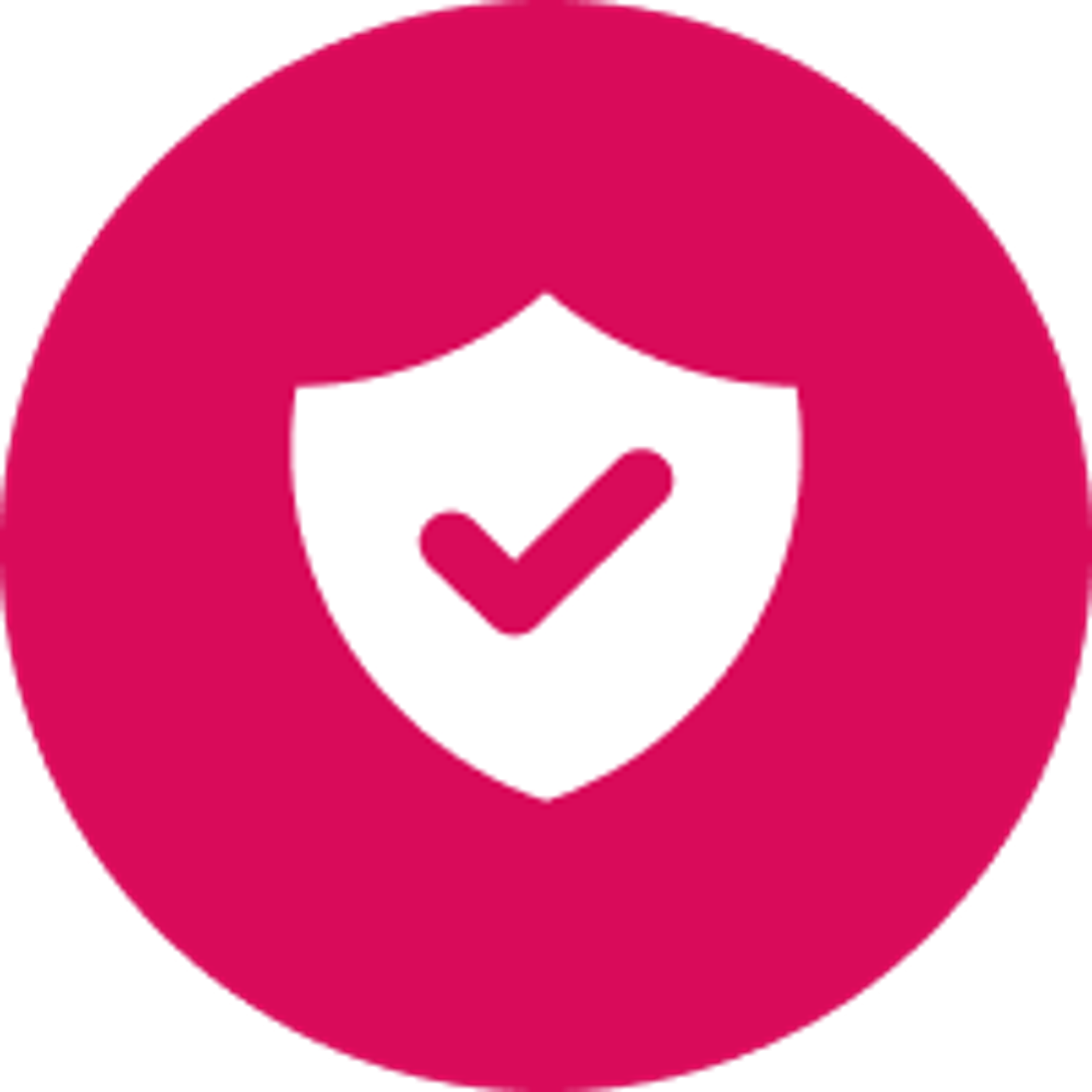 Icon Safe