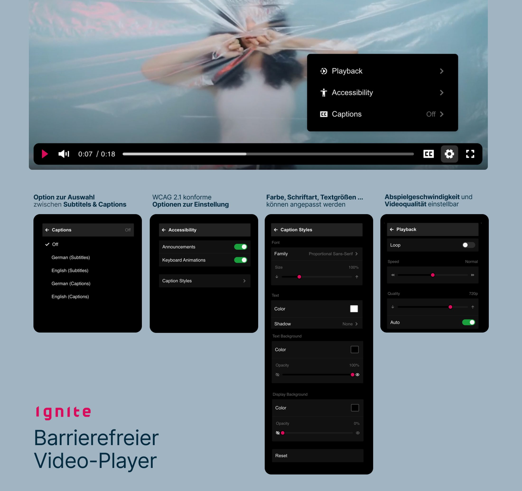 Alle Funktionen und Menüs des barrierefreien Video-Players in einem Bild