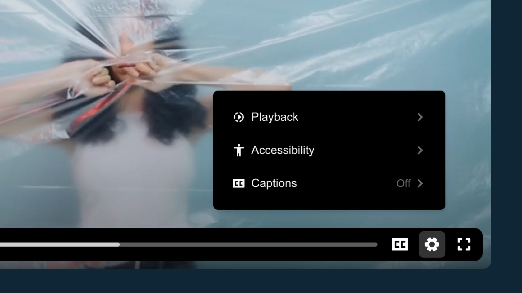 Screenshot of a accessible video player, highlighting the customization features 